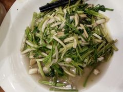 水芹-西新饭店(城中店)