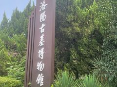 -洛阳古墓博物馆
