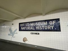 -美国自然历史博物馆