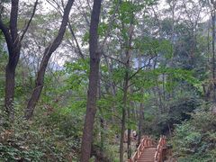 -大岭沟猕猴桃谷风景区