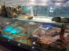 水产区-好彩海鲜酒家(帝国中心店)