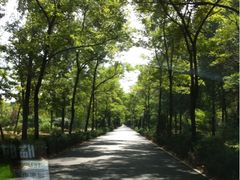 -顺鑫绿色度假村