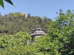 -老张烤羊(王哥庄店)