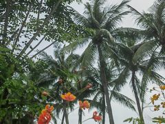 -三亚亚龙湾金棕榈度假酒店