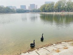 -长春世界雕塑园冰雪艺术天地