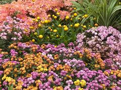 -杭州植物园