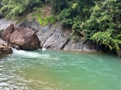 -广州白江湖森林公园