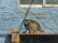-青藏高原野生动物园