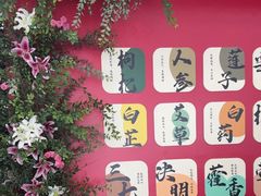-奔驰利星行(北京花乡店)