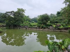 -广西壮族自治区药用植物园