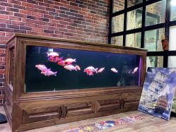 -青木造型HAIR·あおき髪を刈る潮人店