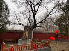 -天宁寺