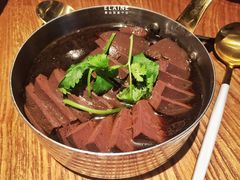 -MR鹅外