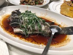 -大东海海鲜酒楼(渔人码头总店)