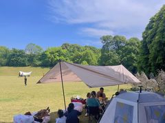 -三圣花乡旅游区