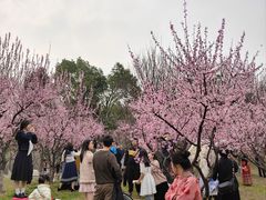 -堤角公园