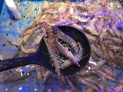 -澜悦港海鲜体验主题餐厅