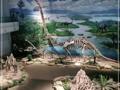 -自贡恐龙博物馆