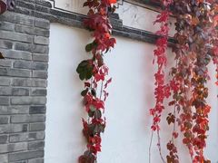 -慢丽江·云南野生菌土鸡锅(付家庄店)