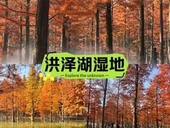-泗洪洪泽湖湿地景区