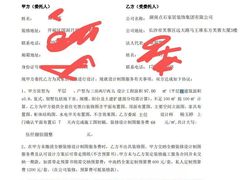 -点石家装(总部旗舰店)