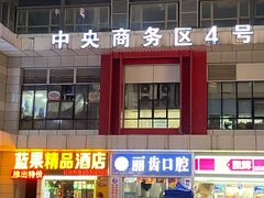 -杨姨妈丝娃娃(花果园店)