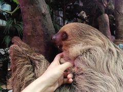 -正佳雨林生态植物园