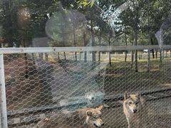 -秦皇岛野生动物园