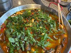 -新繁老號豌豆汤饭店·江湖菜(宝光寺店)
