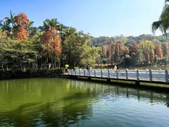 -西樵山风景名胜区-天湖公园