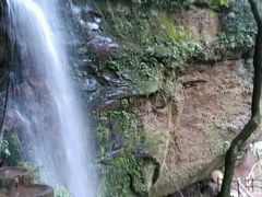 android_upload_pic-碧峰峡风景区