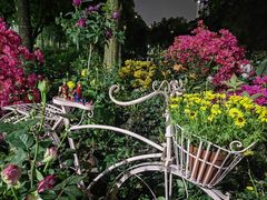 -人民公园(罗湖区)