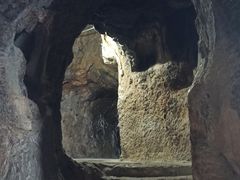 -西华公园
