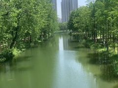 -洋湖国家湿地公园