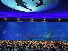 -上海海昌海洋公园-停车场
