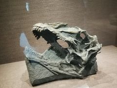 -自贡恐龙博物馆