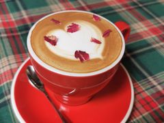 -咖法森林·咖啡  酒吧(天河店)