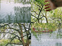 -西溪国家湿地公园