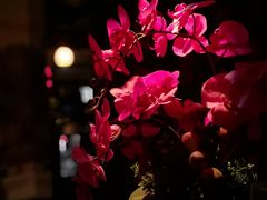 -丽晶大班SPA(大沽店)