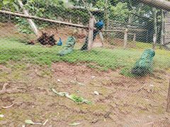-乐和乐都主题乐园