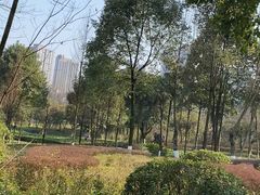 -重庆彩云湖湿地公园