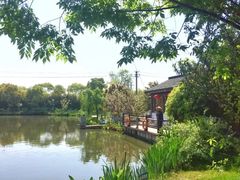 -鹅湖玫瑰文化园