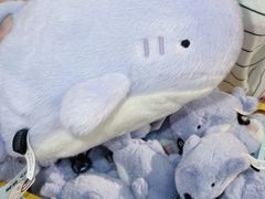 -大连圣亚海洋世界