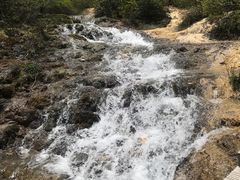 -黄龙山原始森林景区