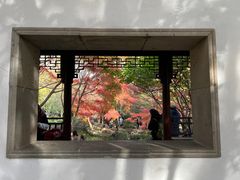 -秋霞圃