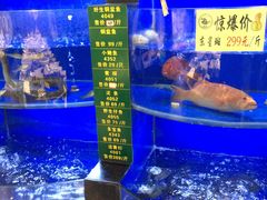 -宁海食府(大剧院店)