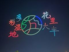 -荷兰花海