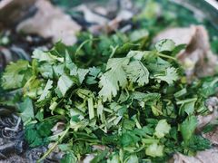 -攀枝花·任德琼·盐边羊肉米线