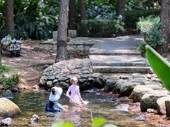 -福清灵石山国家森林公园