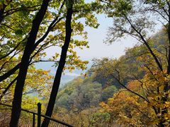 -吉林拉法山
